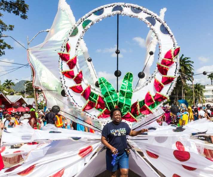 2013 Trinidad Carnival Tuesday-005.jpg