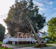 Missed this one somehow, a block from where I live, still there two days after the storm ended